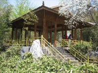 Click to popup fullsize image