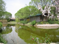 Click to popup fullsize image