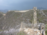 Click to popup fullsize image