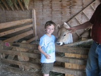 Click to popup fullsize image