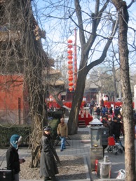 Click to popup fullsize image