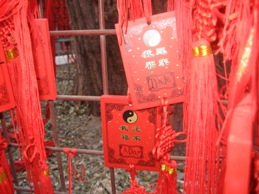 Click to popup fullsize image