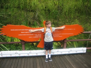 Click to popup fullsize image