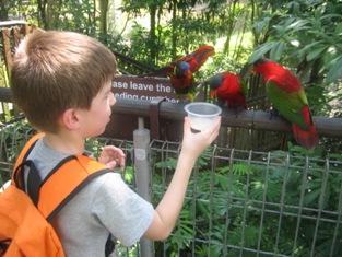 Click to popup fullsize image