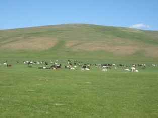 Click to popup fullsize image