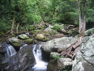 Click to popup fullsize image