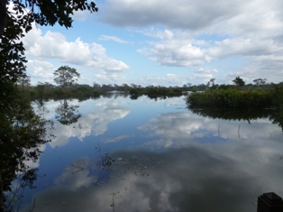 Click to popup fullsize image