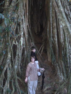 Click to popup fullsize image