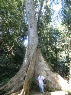 Click to popup fullsize image