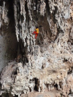 Click to popup fullsize image