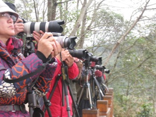 Click to popup fullsize image