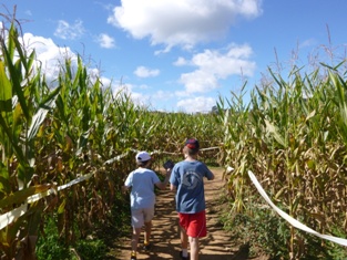 Click to popup fullsize image