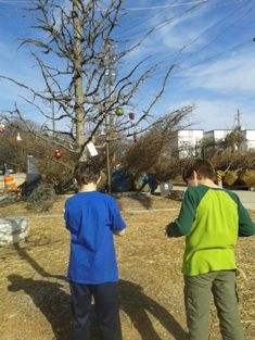 Click to popup fullsize image