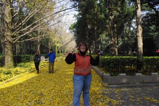 Click to popup fullsize image